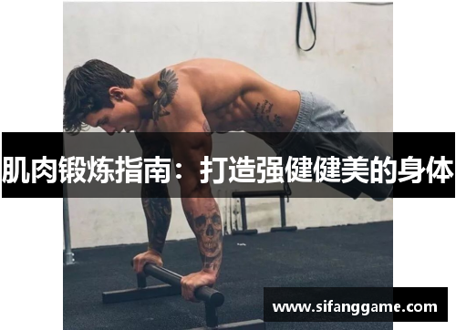 肌肉锻炼指南：打造强健健美的身体