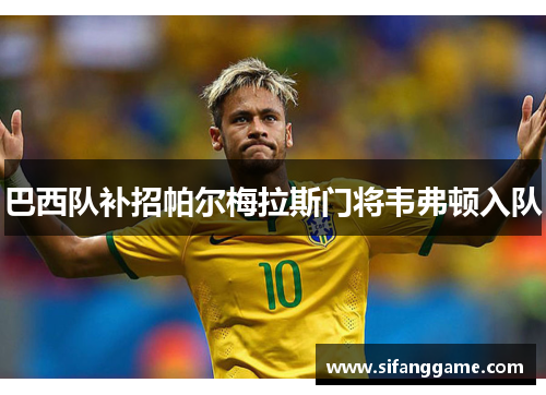 巴西队补招帕尔梅拉斯门将韦弗顿入队